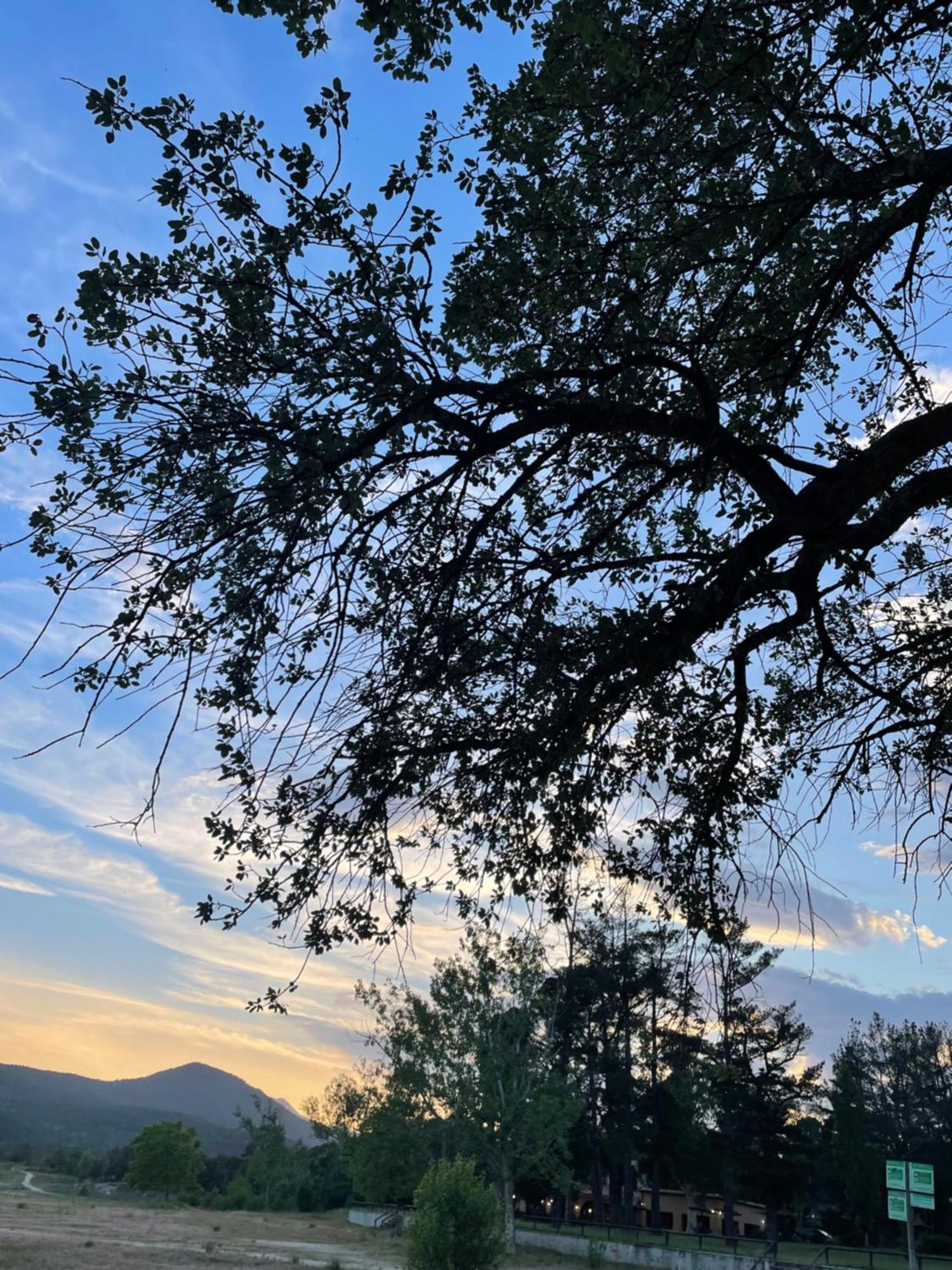 Douce Pause Ξενοδοχείο Darnius Εξωτερικό φωτογραφία